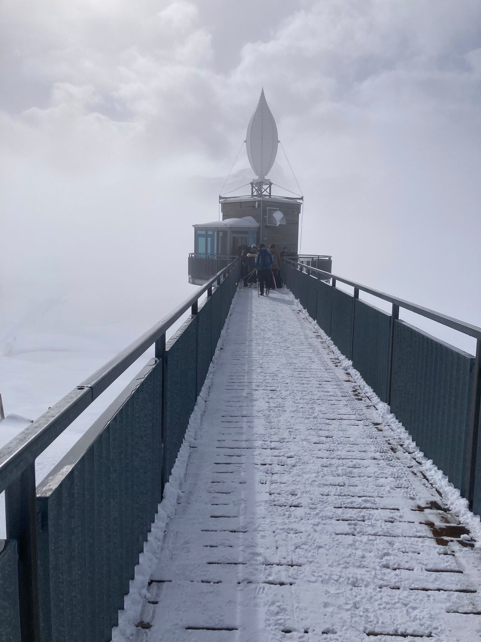 WhatsApp Image 2026-03-15 at 13.46.12 (4)_1v40bdh6ejj79.jpeg